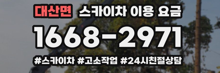 대산면 스카이차 이용 요금