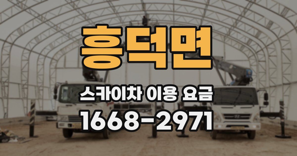 흥덕면 스카이차 이용 요금
