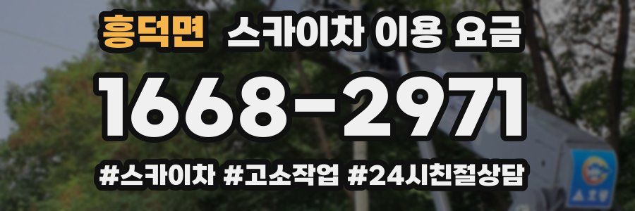 흥덕면 스카이차 이용 요금