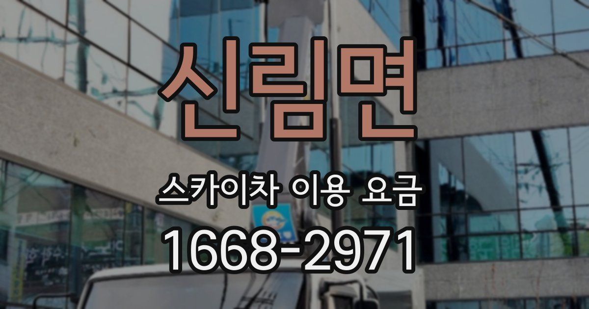 신림면 스카이차 이용 요금