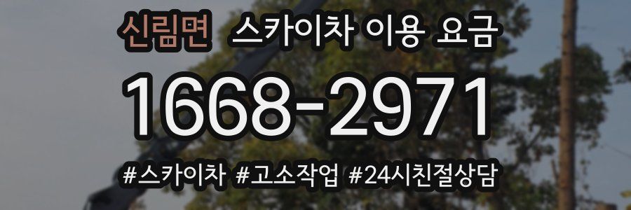 신림면 스카이차 이용 요금