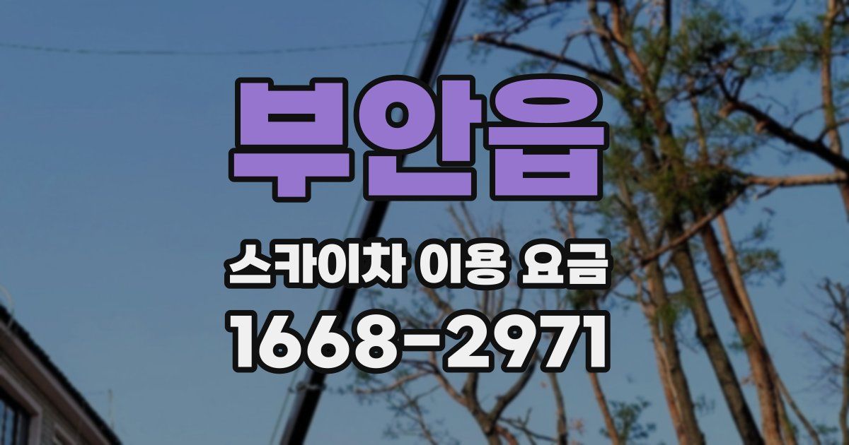 부안읍 스카이차 이용 요금