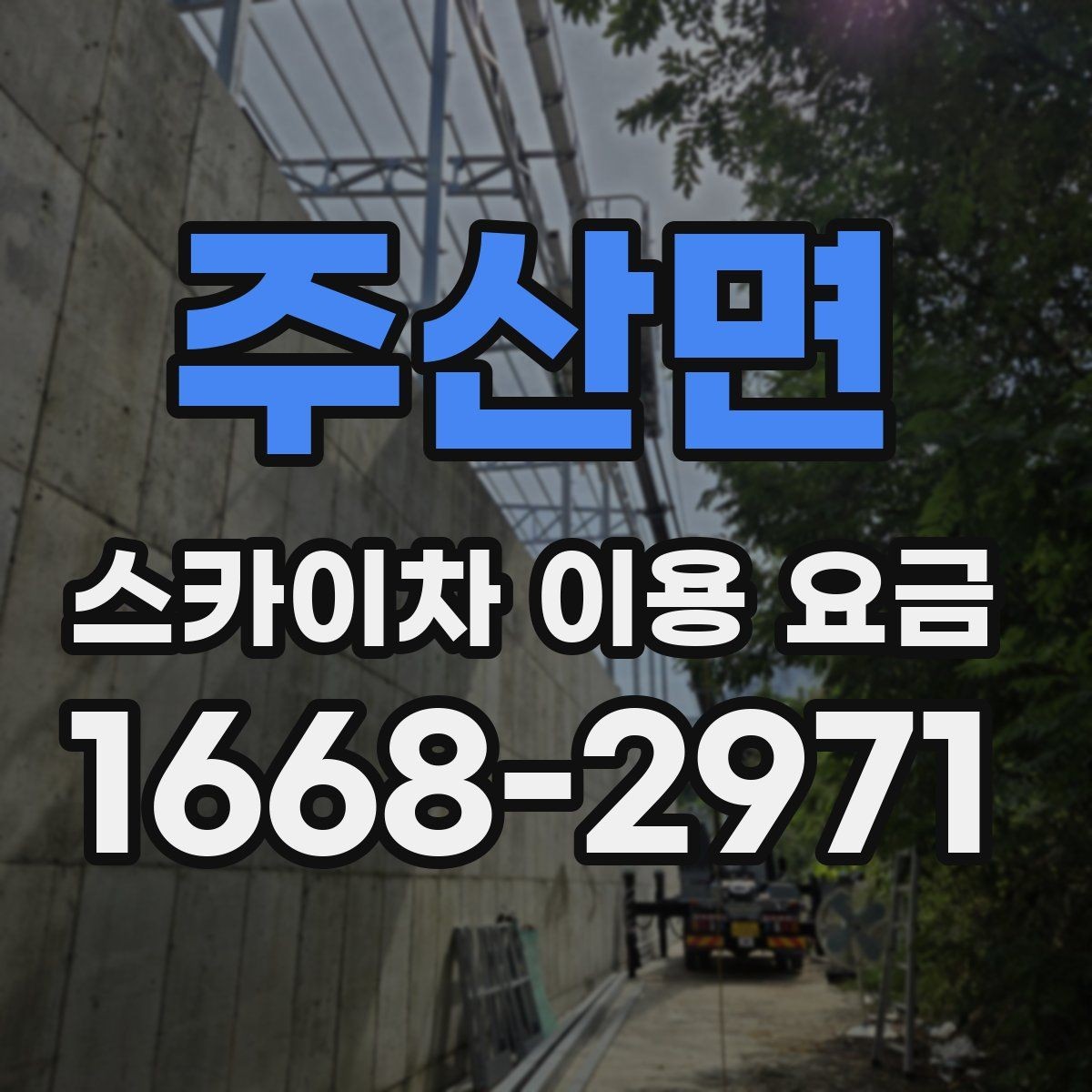 주산면 스카이차 이용 요금 비교 시 서비스 범위 확인하기