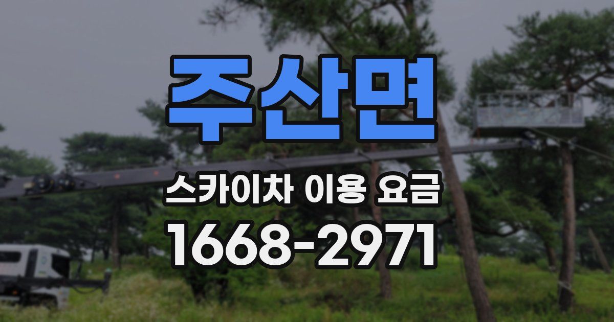 주산면 스카이차 이용 요금