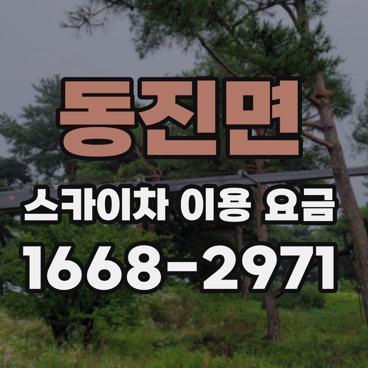 동진면 스카이차 이용 요금