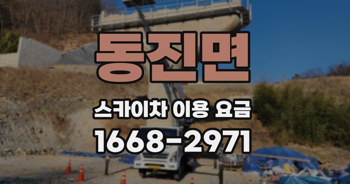 동진면 스카이차 이용 요금