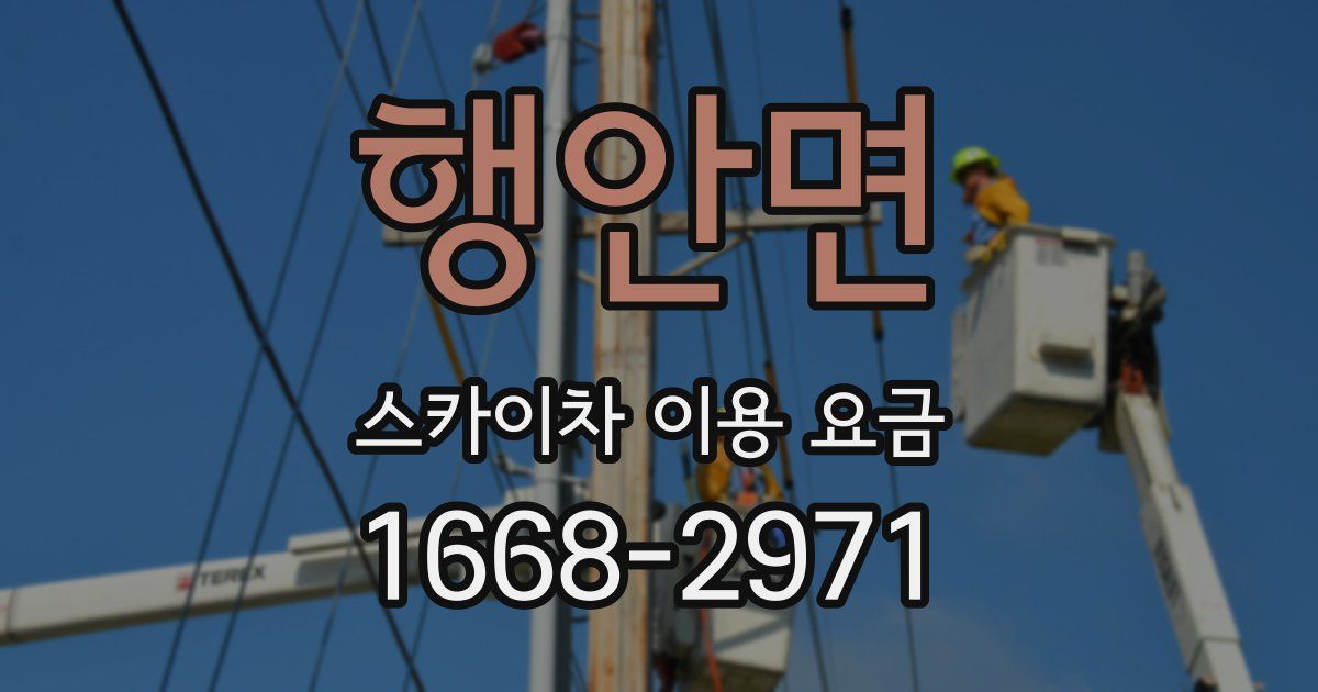 행안면 스카이차 이용 요금