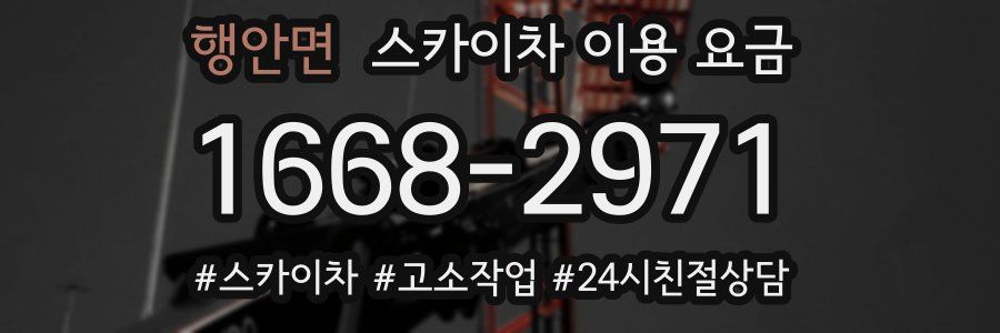 행안면 스카이차 이용 요금