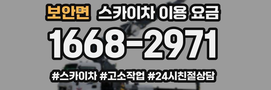 보안면 스카이차 이용 요금