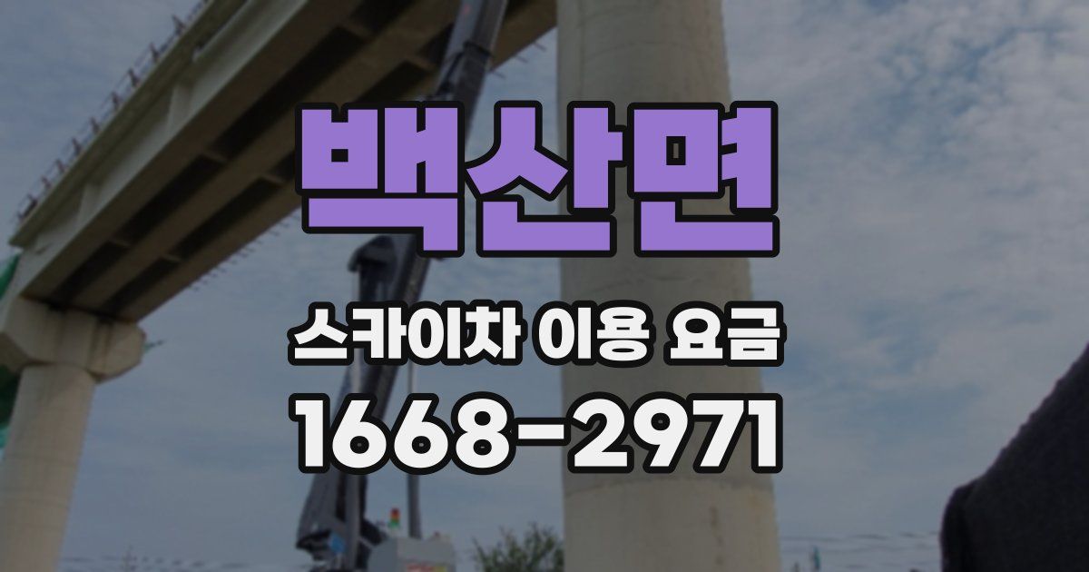 백산면 스카이차 이용 요금