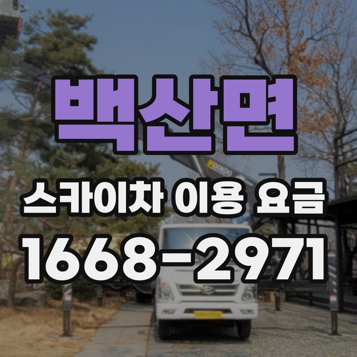 백산면 스카이차 이용 요금