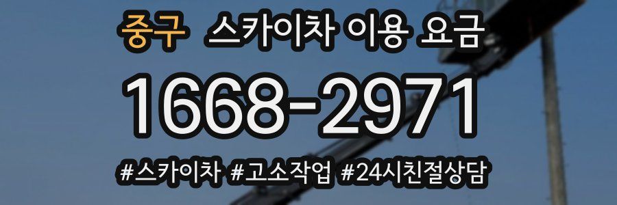 중구 스카이차 이용 요금