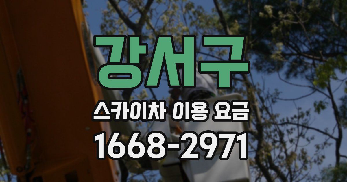 강서구 스카이차 이용 요금