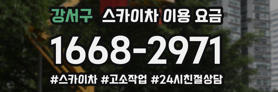 강서구 스카이차 이용 요금