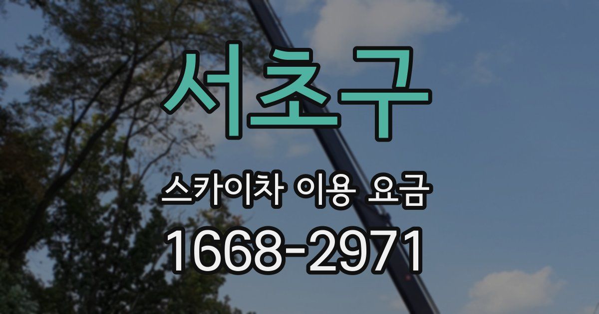 서초구 스카이차 이용 요금