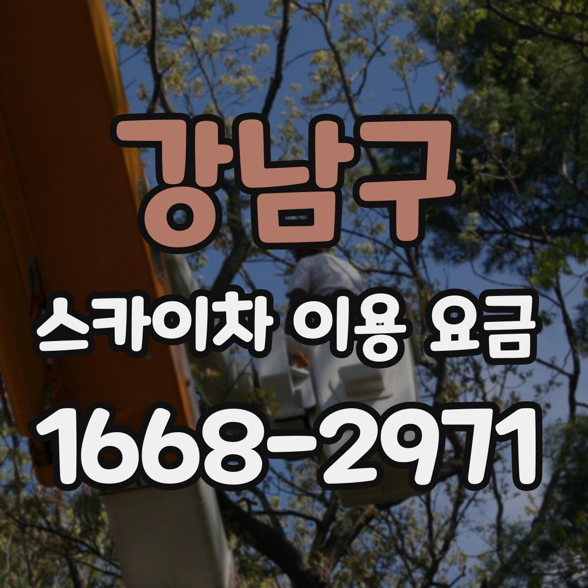 강남구 스카이차 이용 요금