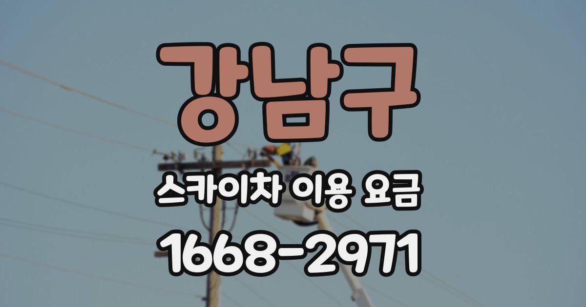 강남구 스카이차 이용 요금