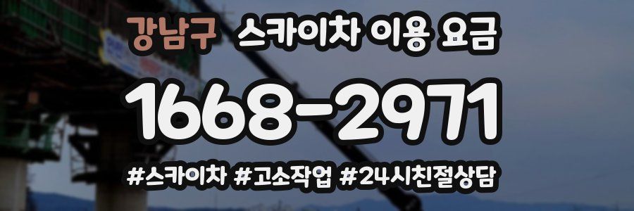 강남구 스카이차 이용 요금