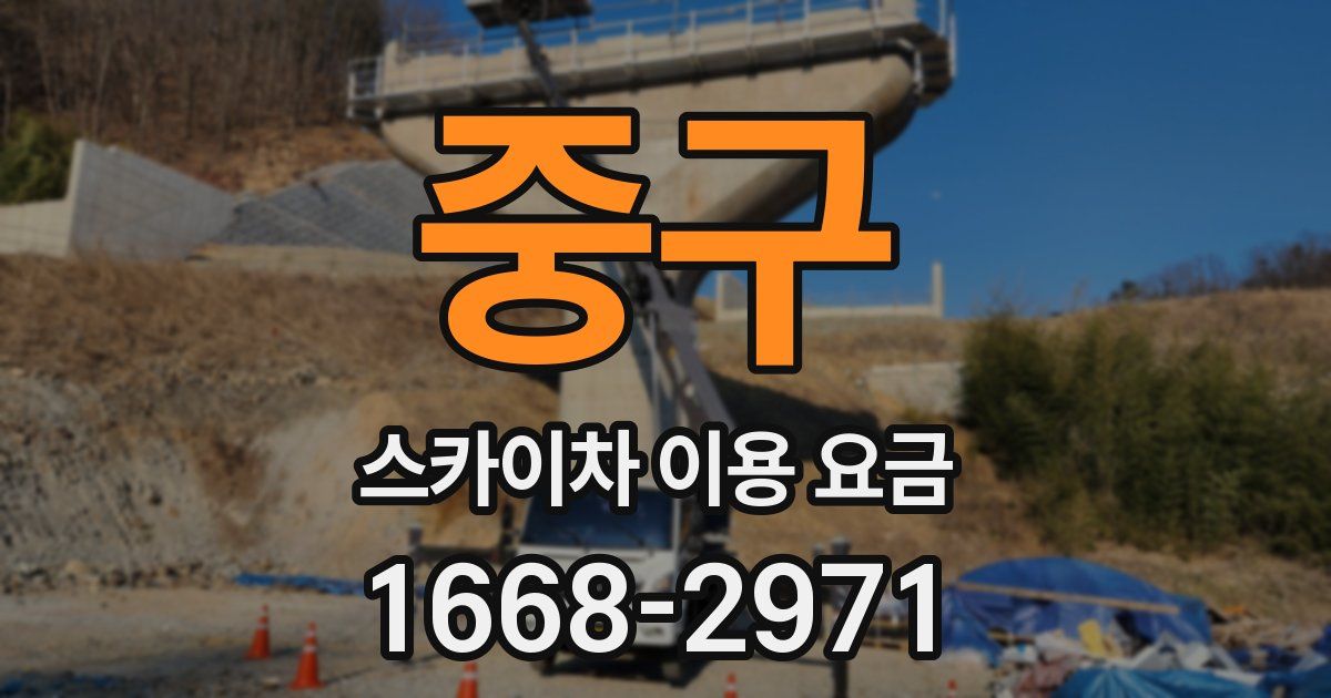 중구 스카이차 이용 요금