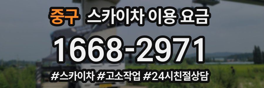 중구 스카이차 이용 요금