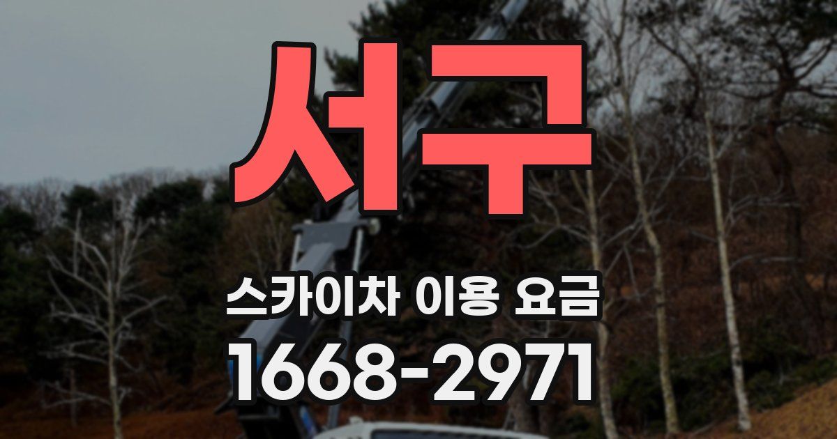 서구 스카이차 이용 요금
