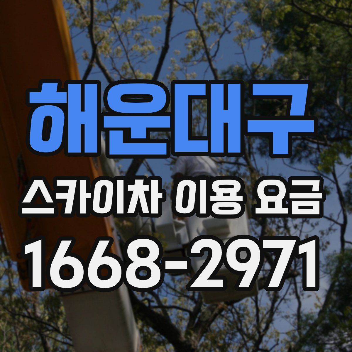 해운대구 스카이차 이용 요금