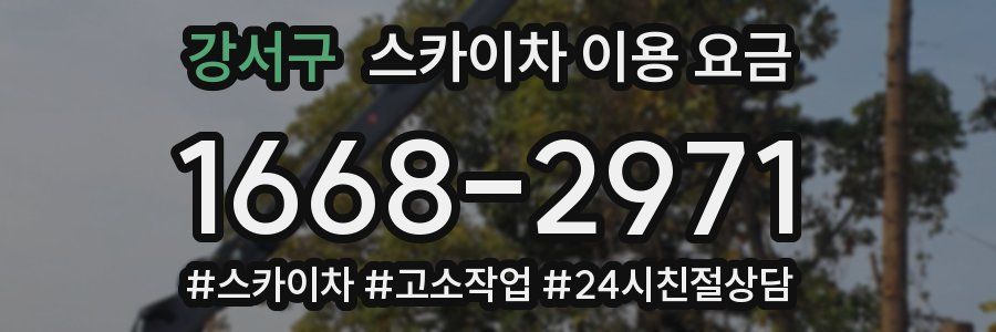 강서구 스카이차 이용 요금