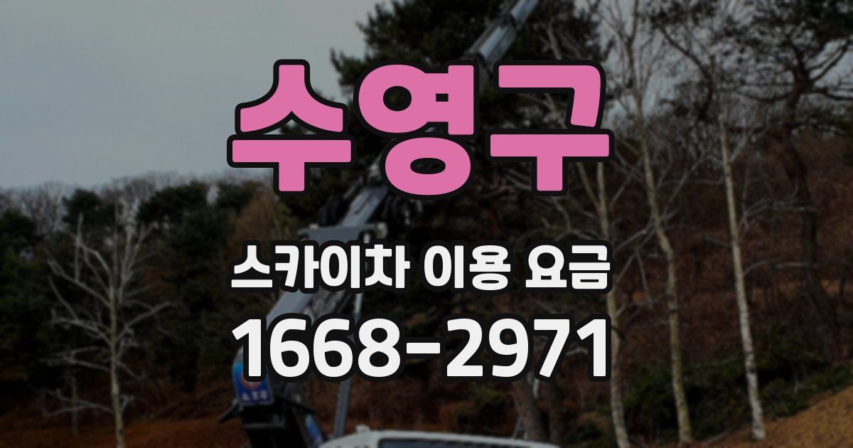 수영구 스카이차 이용 요금
