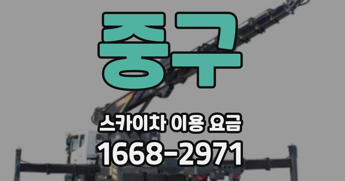 중구 스카이차 이용 요금