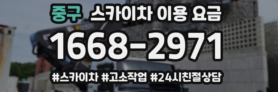 중구 스카이차 이용 요금