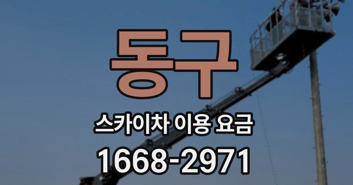 동구 스카이차 이용 요금