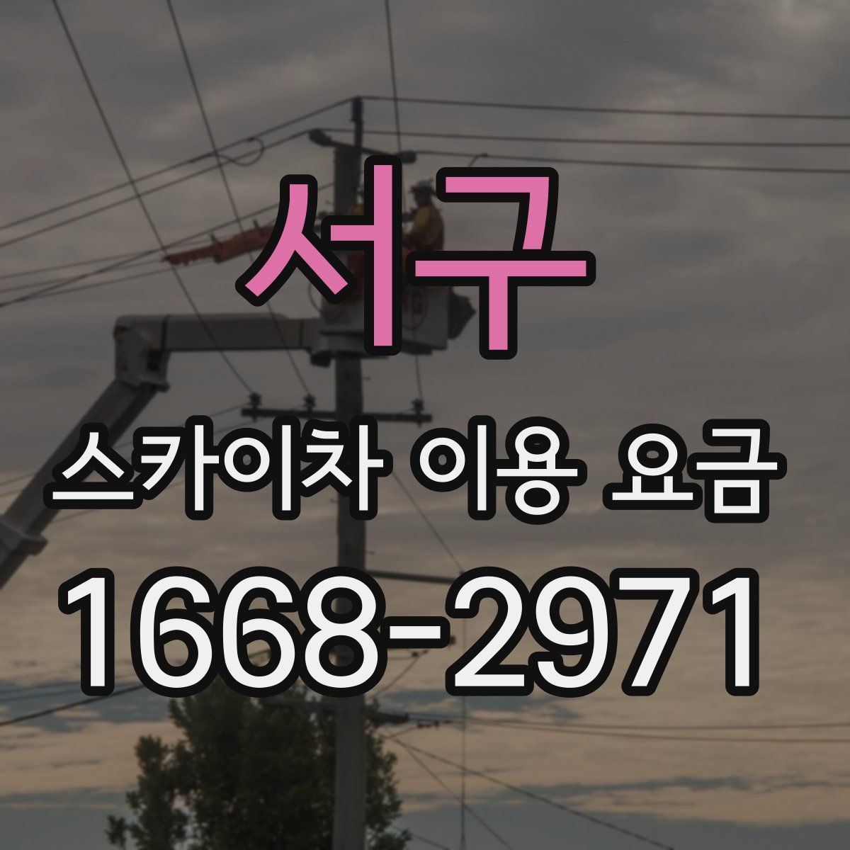 서구 스카이차 이용 요금