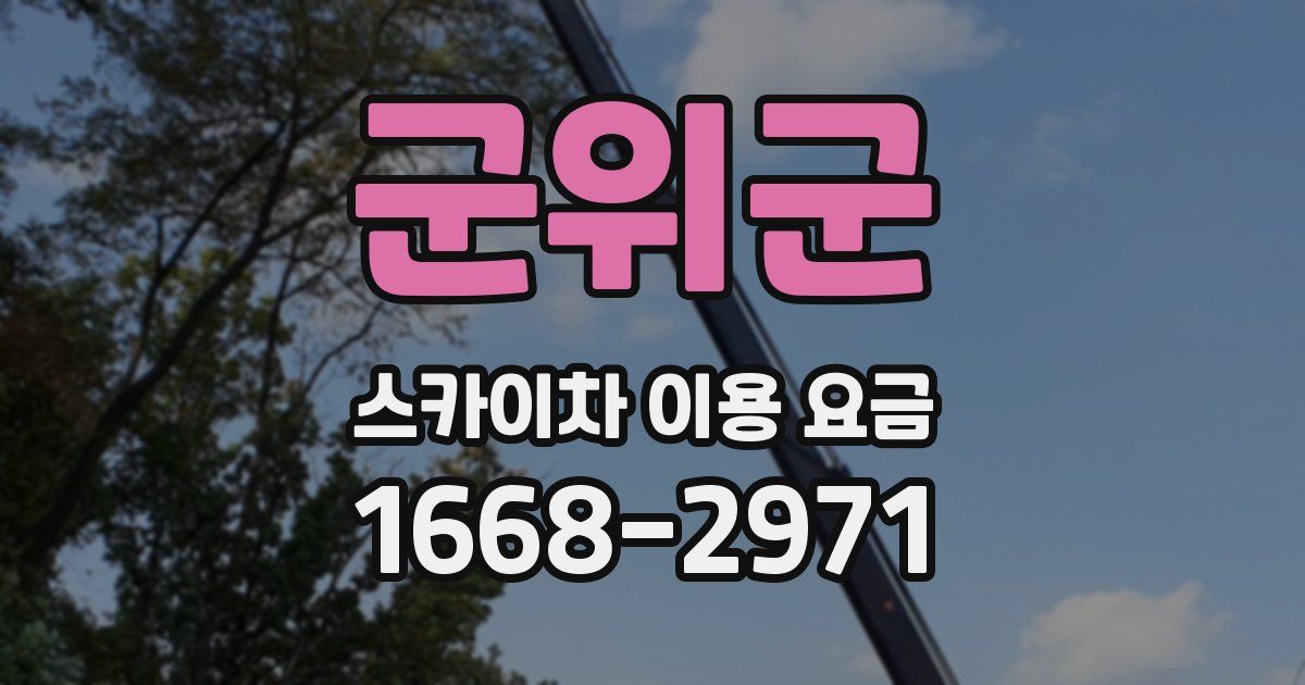 군위군 스카이차 이용 요금