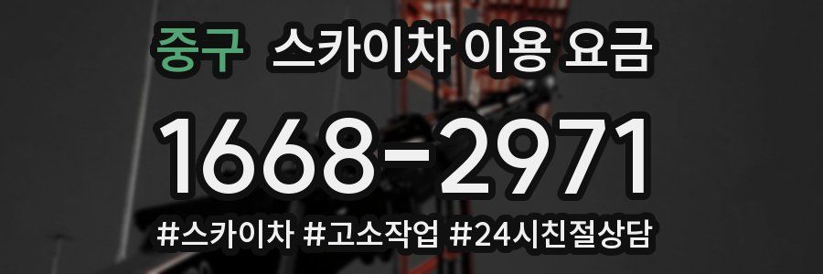 중구 스카이차 이용 요금