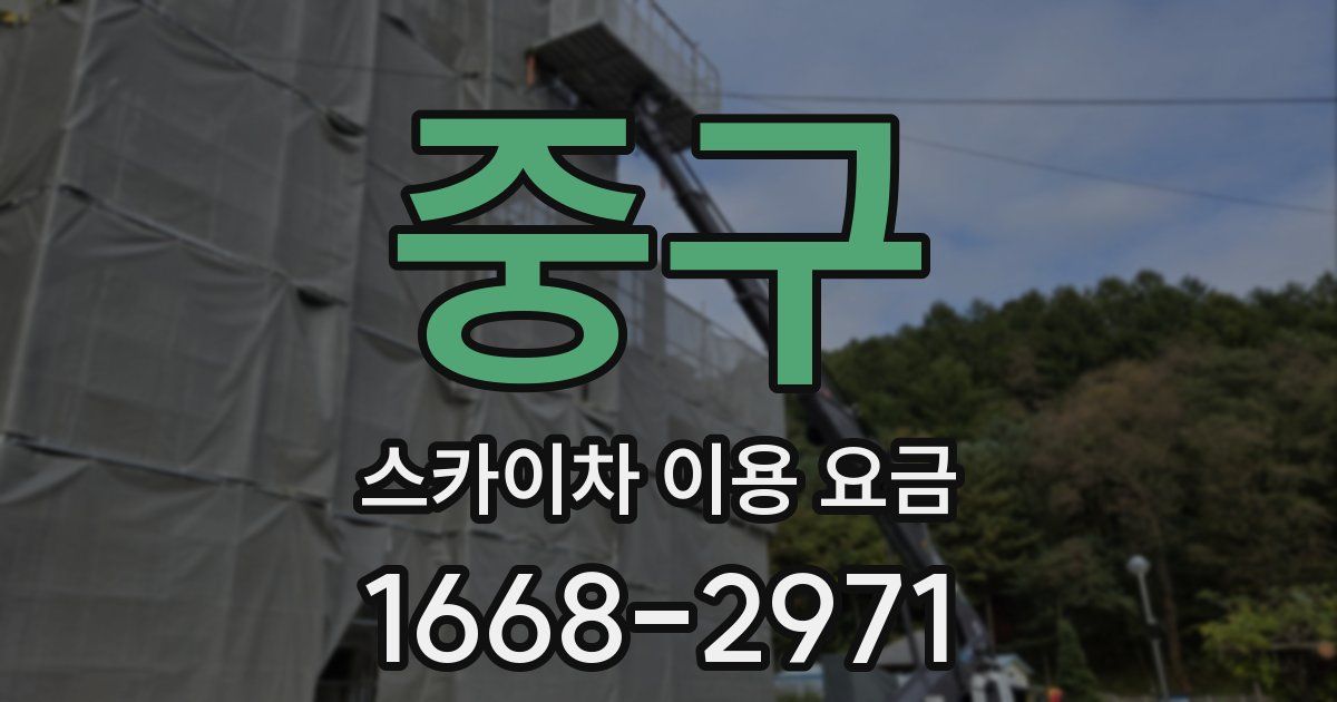 중구 스카이차 이용 요금