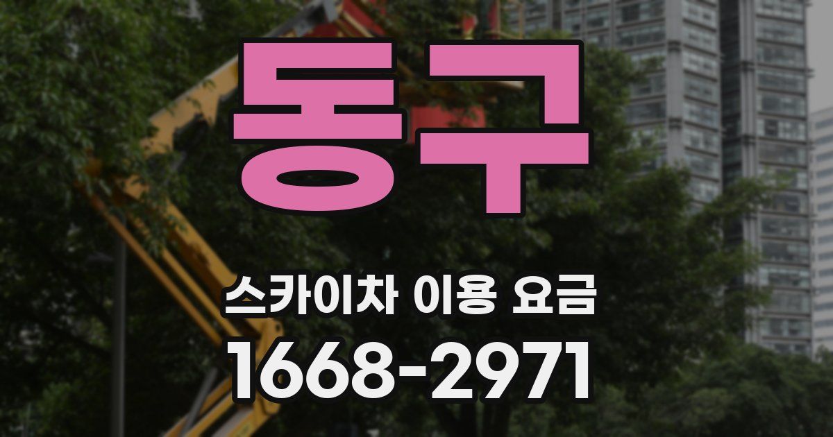 동구 스카이차 이용 요금