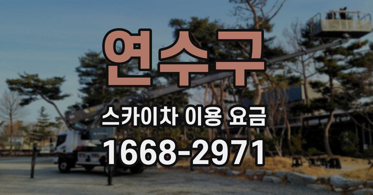 연수구 스카이차 이용 요금