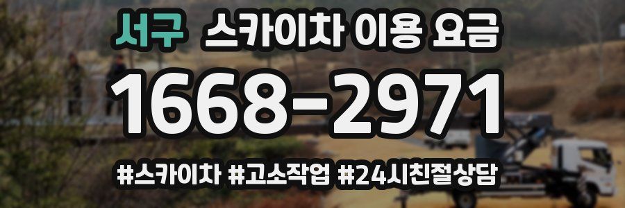 서구 스카이차 이용 요금