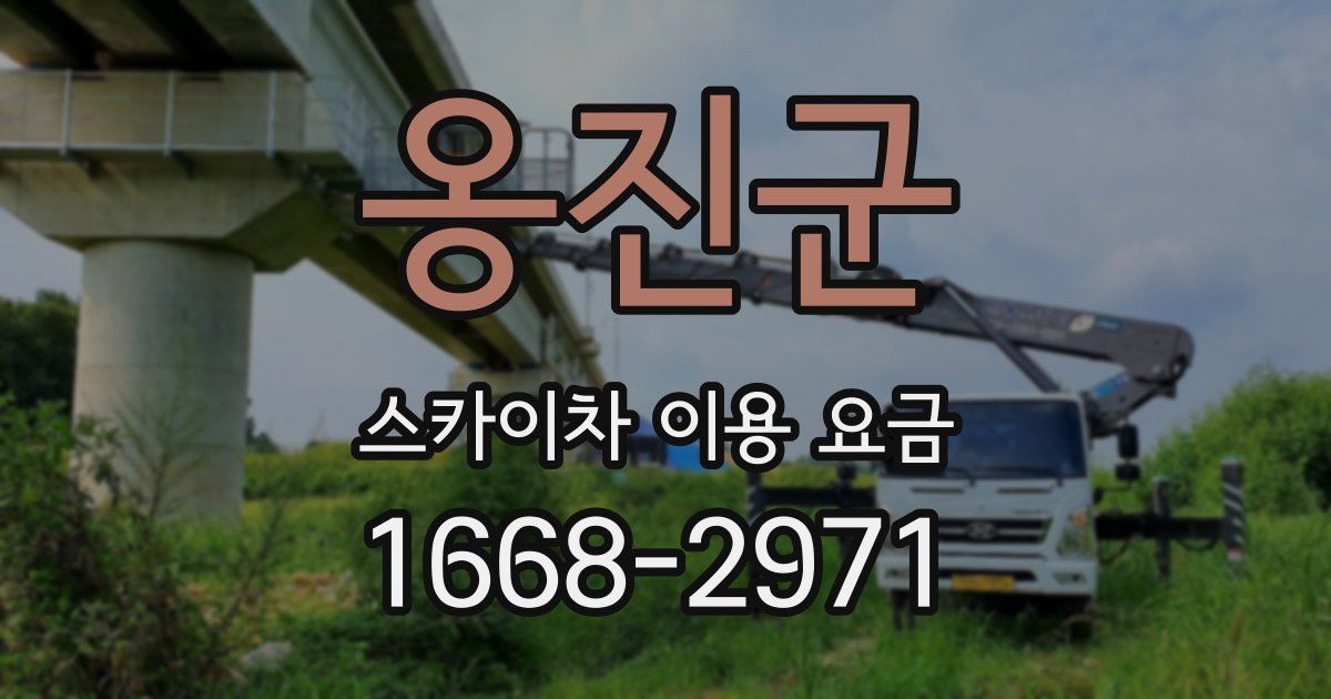 옹진군 스카이차 이용 요금