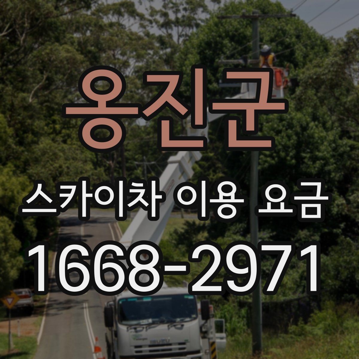 옹진군 스카이차 이용 요금
