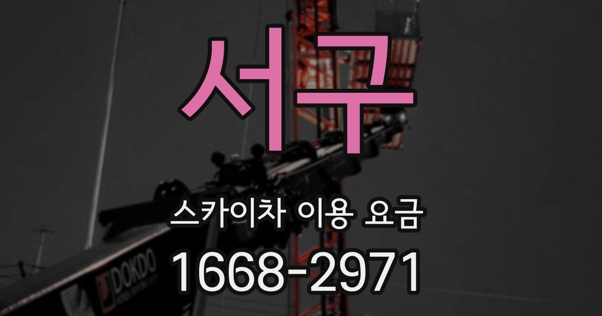 서구 스카이차 이용 요금