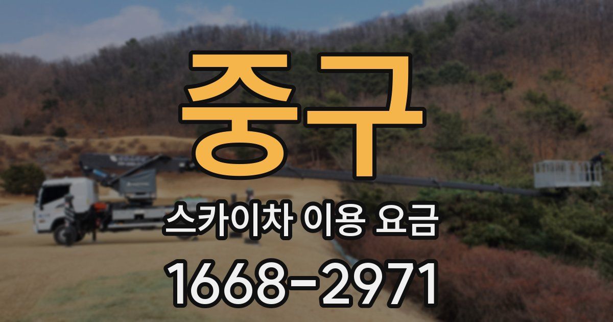 중구 스카이차 이용 요금