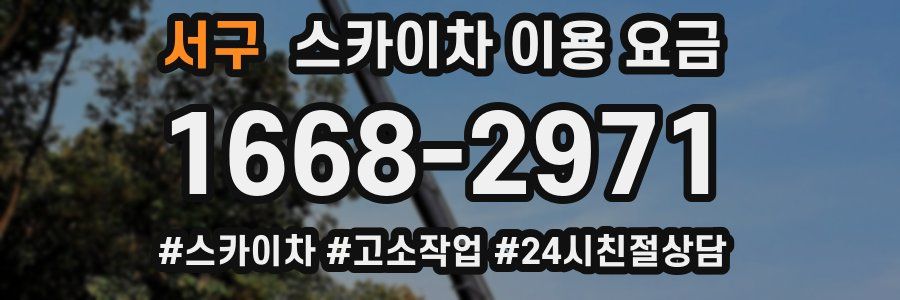 서구 스카이차 이용 요금
