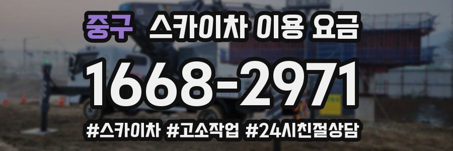 중구 스카이차 이용 요금