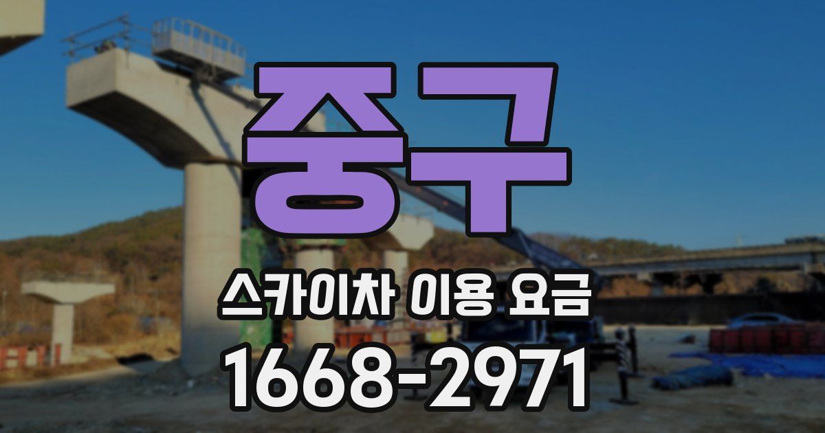 중구 스카이차 이용 요금