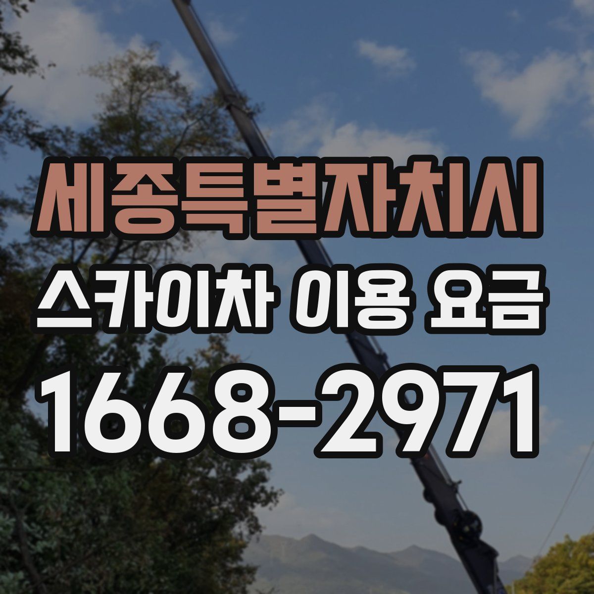 세종특별자치시 스카이차 이용 요금