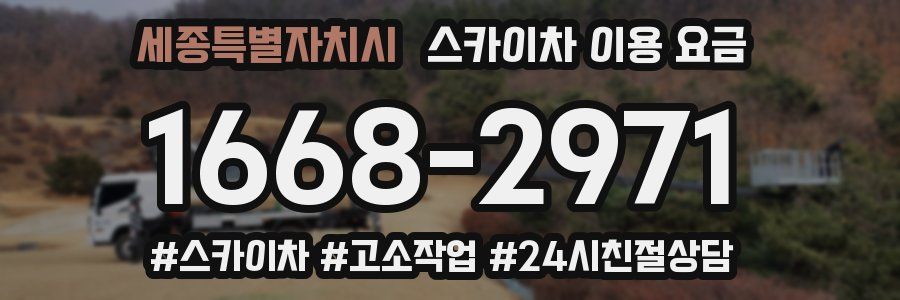세종특별자치시 스카이차 이용 요금