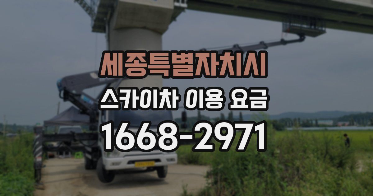 세종특별자치시 스카이차 이용 요금