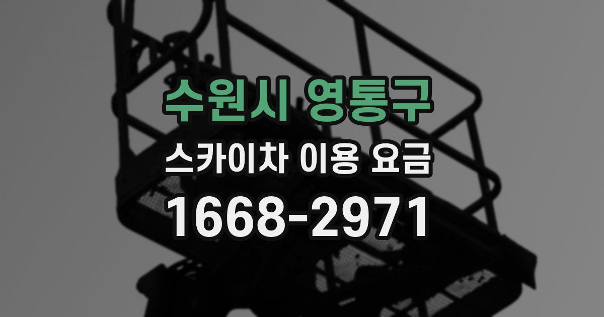 수원시 영통구 스카이차 이용 요금