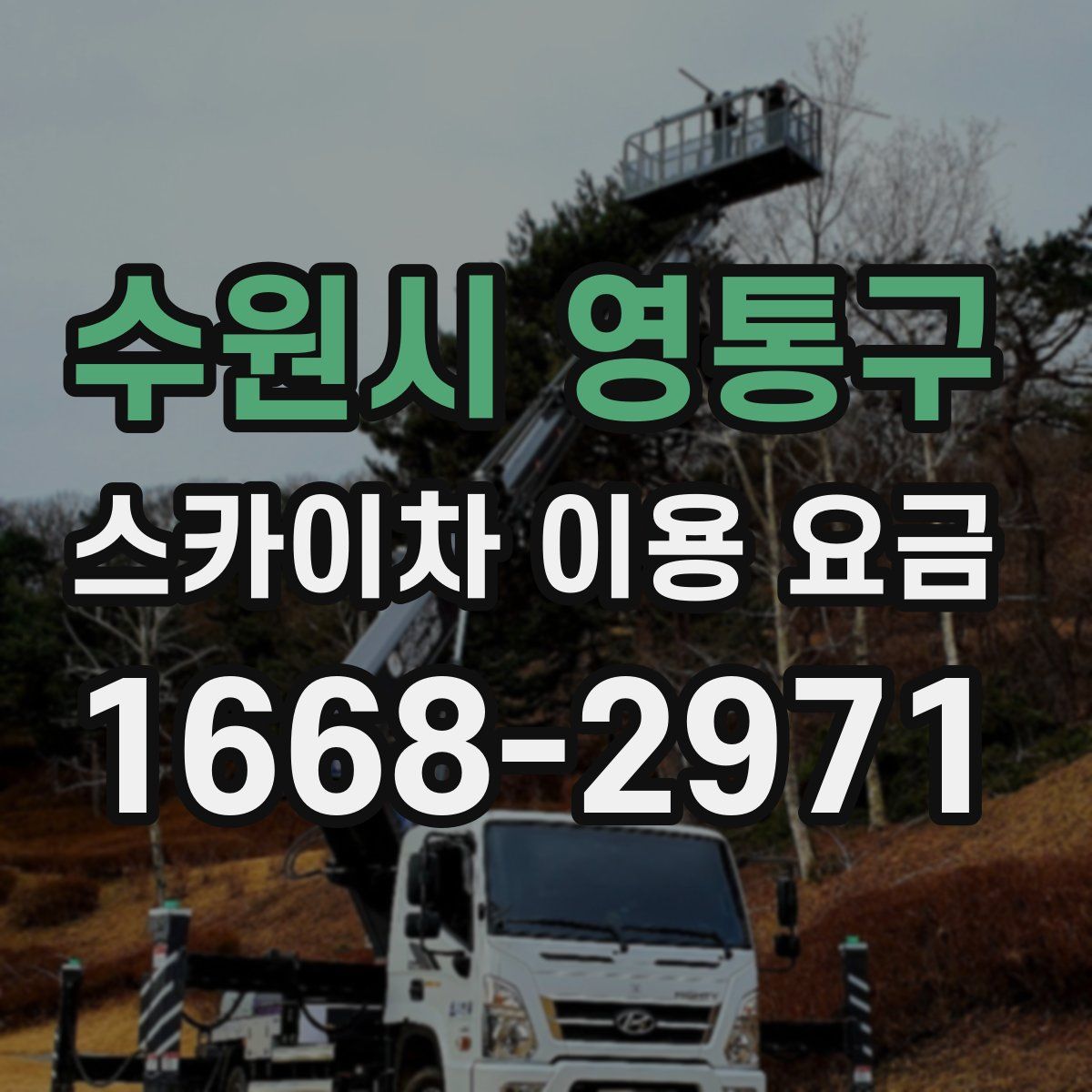수원시 영통구 스카이차 이용 요금